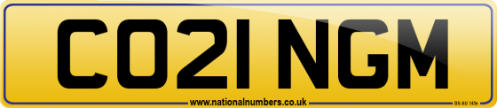 CO21 NGM