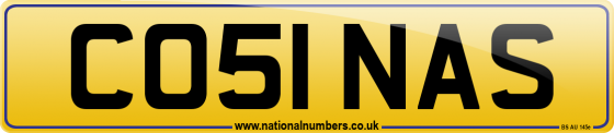 CO51 NAS