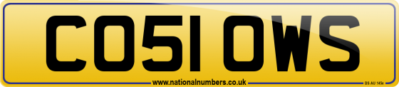CO51 OWS