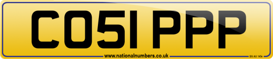 CO51 PPP