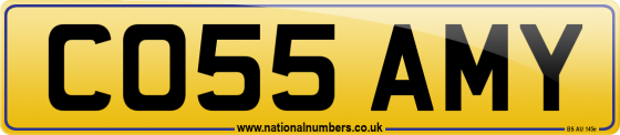 CO55 AMY