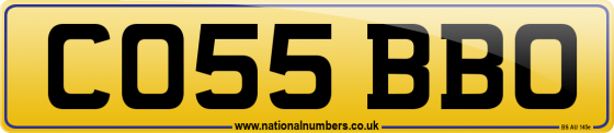 CO55 BBO