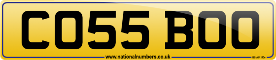 CO55 BOO