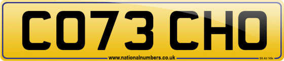 CO73 CHO