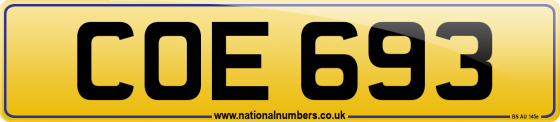 COE 693