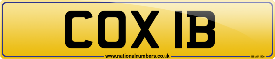 COX 1B