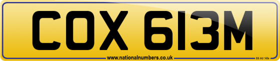 COX 613M