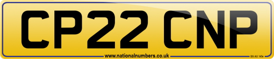 CP22 CNP