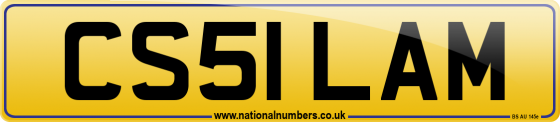 CS51 LAM