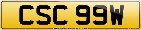 CSC 99W