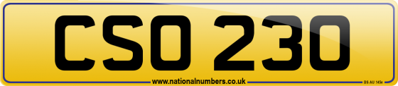 CSO 230