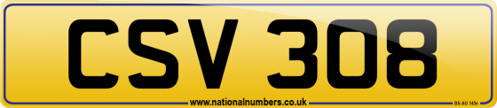 CSV 308
