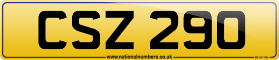 CSZ 290
