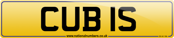CUB 1S