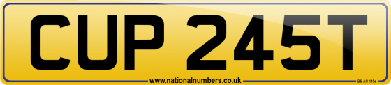 CUP 245T