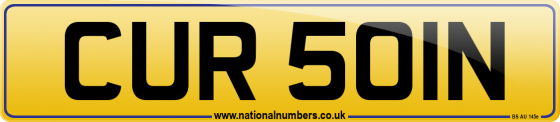 CUR 501N