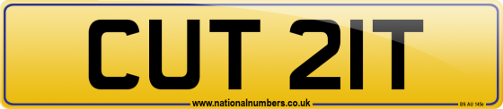 CUT 21T