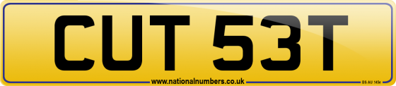 CUT 53T