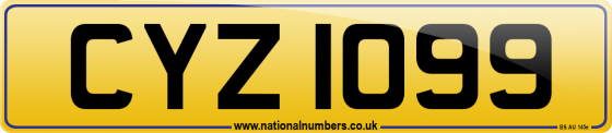 CYZ 1099