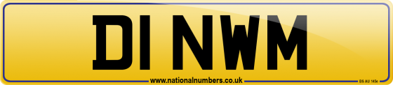 D1 NWM