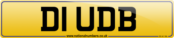 D1 UDB
