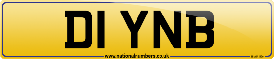 D1 YNB