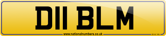 D11 BLM