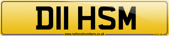 D11 HSM