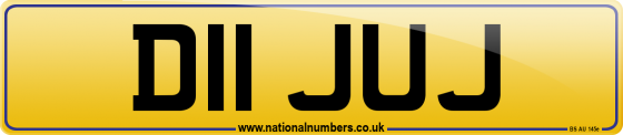 D11 JUJ