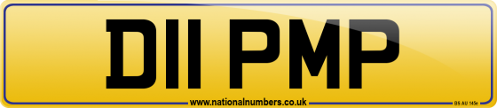 D11 PMP