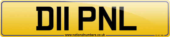 D11 PNL
