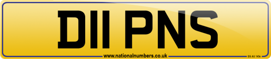 D11 PNS