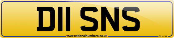 D11 SNS
