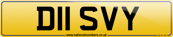 D11 SVY