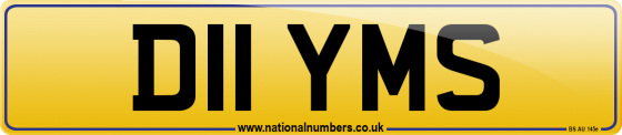 D11 YMS