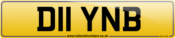 D11 YNB