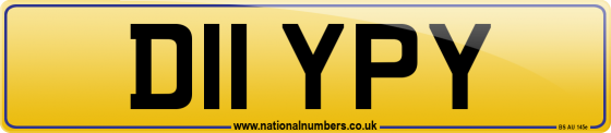 D11 YPY