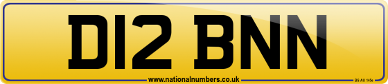 D12 BNN