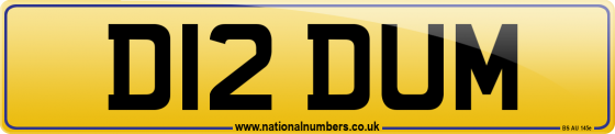 D12 DUM