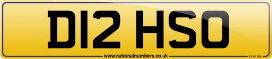D12 HSO