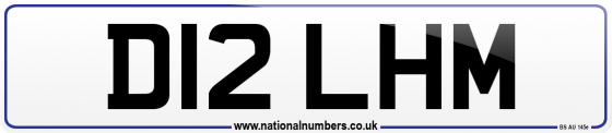 D12 LHM