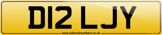 D12 LJY