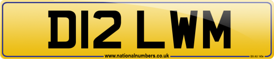 D12 LWM