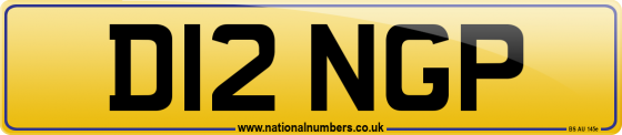D12 NGP
