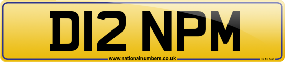 D12 NPM