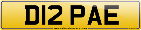 D12 PAE