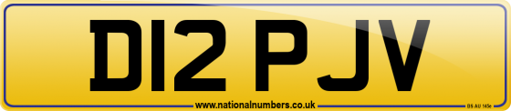 D12 PJV