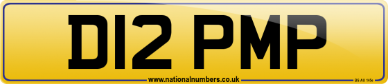 D12 PMP