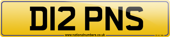 D12 PNS