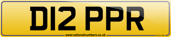 D12 PPR